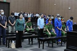 Đề xuất tạm hoãn truy cứu hình sự sai phạm kinh tế: Chuyên gia nói gì?