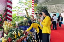 Rực sắc màu ngày hội tôn vinh trái cây miền Tây