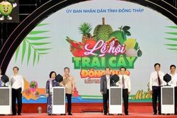 Lễ hội Trái cây Đồng Tháp 2026: Tôn vinh giá trị nông sản địa phương