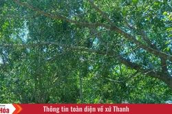 Nhắm mắt lại trong vườn lộng gió