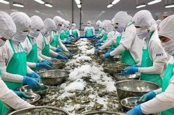 Xuất khẩu thủy sản năm 2026 có thể vượt mốc 12 tỷ USD
