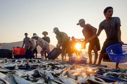 Biển và căn tính con người xứ Quảng