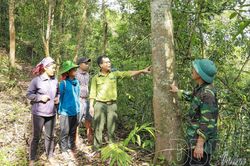 Gìn giữ kho báu sinh học nơi cực Tây Tổ quốc