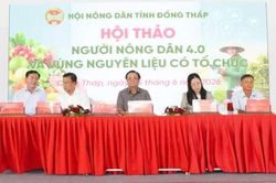 Đồng Tháp: Hướng đến nền nông nghiệp có tổ chức