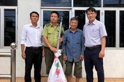 Người dân tự nguyện giao nộp 1 cá thể kỳ đà hoa nặng 5 kg