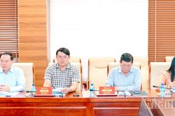 Thường trực Ban Chỉ đạo Phòng, chống tham nhũng, lãng phí, tiêu cực tỉnh chỉ đạo thực hiện một số nhiệm vụ quan trọng