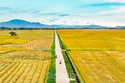 Khẩn trương xây dựng hồ sơ dự thảo nghị quyết về phân bổ ngân sách chương trình mục tiêu quốc gia