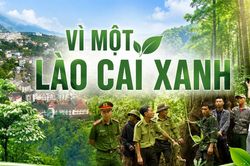 Vì một Lào Cai xanh