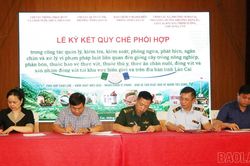 Lào Cai tăng cường phối hợp ngăn chặn dịch bệnh truyền lây xuyên biên giới trên vật nuôi