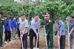 Bộ đội góp sức xây dựng những mái nhà tri ân