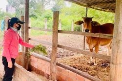 Sông Lũy tạo sinh kế bền vững cho đồng bào DTTS