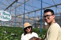 Ngành nông nghiệp và môi trường xây dựng mô hình tăng trưởng mới