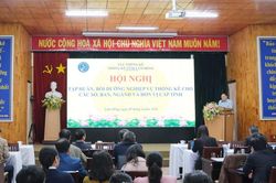 Lâm Đồng tập huấn nghiệp vụ thống kê