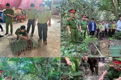 Triệt phá nhiều cơ sở kinh doanh động vật hoang dã và giải cứu các loài quý hiếm