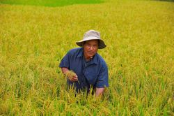 Người đuổi gió trên đỉnh Cu Vơ