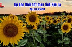 Dự báo thời tiết toàn tỉnh Sơn La ngày 6/6/2026