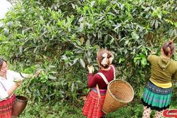 Dân vận khéo ở vùng cao Suối Tọ