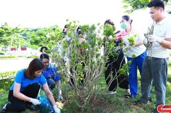 Bệnh viện Đa khoa tỉnh Sơn La phát động phong trào 'Bệnh viện xanh - sạch - đẹp'
