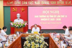 Ban Thường vụ Tỉnh ủy Thái Nguyên: Xem xét, cho chủ trương đối với 25 nội dung