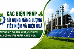 Các biện pháp sử dụng năng lượng tiết kiệm và hiệu quả trong cơ sở sản xuất, chế biến, gia công sản phẩm hàng hóa
