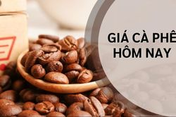 Ngày 5/6: Giá cà phê quay đầu giảm, hồ tiêu neo ở mức 139.000 đồng/kg