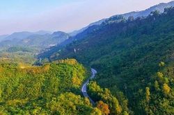 Nghệ An đặt tăng trưởng xanh ở vị trí trung tâm của chiến lược phát triển
