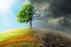 Môi trường phải trở thành động lực của tăng trưởng xanh