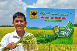 Đất khỏe hôm nay, mùa vàng ngày mai