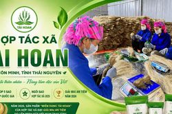 HTX Tài Hoan: Từ làng nghề truyền thống đến thương hiệu Quốc gia