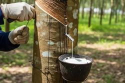 Horuco tập trung vào nông nghiệp công nghệ cao, mục tiêu lãi tăng 51%