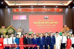 Phú Thọ: Khơi dậy sức trẻ, tạo bước đột phá trong công tác phát triển Đảng tại xã Đạo Trù