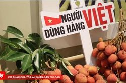 Sức hút từ 'Chợ phiên Kinh Bắc' giữa lòng Hà Nội