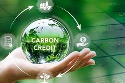 Tín chỉ carbon bước vào cuộc sàng lọc chất lượng