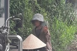 Biến tướng ăn xin đường phố