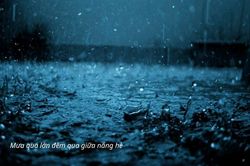 Mưa lớn giữa đêm hè