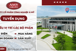 Cổ đông lớn nhất của Công nghiệp Á Mỹ tuyên bố giải thể sau khi thoái toàn bộ vốn cho ban điều hành