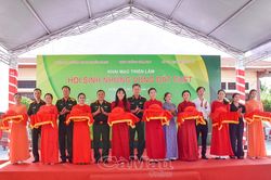 Hơn 400 hình ảnh, hiện vật tại triển lãm 'Hồi sinh những vùng đất chết'