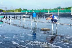 Thi đua phát triển, tạo đà tăng trưởng