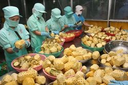 Bộ Công Thương đề nghị phổ biến tài liệu hướng dẫn sử dụng hệ thống CIFER