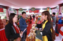 Hải Ph&ograve;ng đẩy mạnh thương mại điện tử, hỗ trợ ti&ecirc;u thụ sản phẩm OCOP