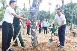 TPHCM: Phát động Tháng hành động vì môi trường và hưởng ứng Ngày Môi trường Thế giới