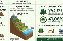 Đắk Lắk triển khai quy hoạch lâm nghiệp 2026–2030 phát huy giá trị đa mục tiêu của rừng