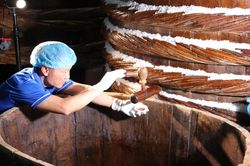 Hành trình đưa nước mắm truyền thống vươn tầm thế giới