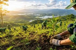 Chung tay phục hồi đất, ngăn chặn sa mạc hóa và hạn hán