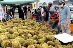 Mua sầu riêng non 'giải cứu' ven đường ở TP.HCM, người tiêu dùng lãnh đủ