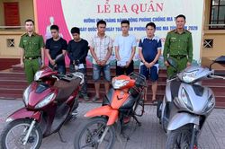 Triệt phá 3 vụ án ma túy, bắt giữ 7 người liên quan
