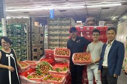 Vải Thiều Việt Nam đầu vụ chinh phục người tiêu dùng Hoa Kỳ