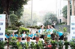 Phường Ô Chợ Dừa huy động sức dân xây dựng đô thị xanh, văn minh