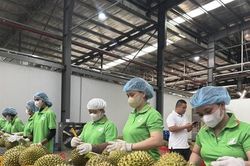 Truy xuất nguồn gốc nông sản: Nền tảng để nâng tầm nông sản Việt