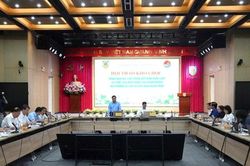 Kiến nghị hoàn thiện pháp luật về mô hình chính quyền địa phương 2 cấp